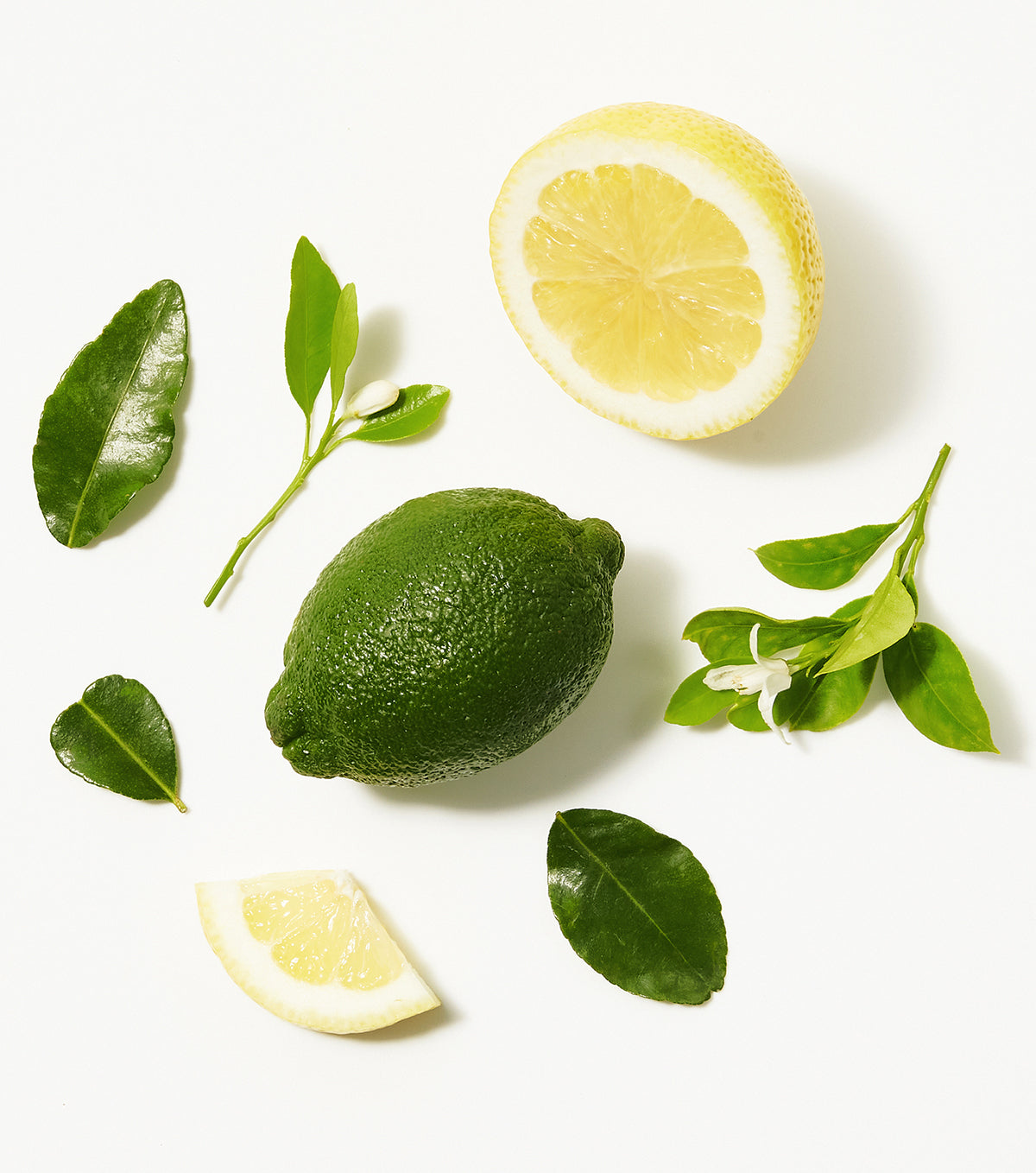 Original Dry Shampoo