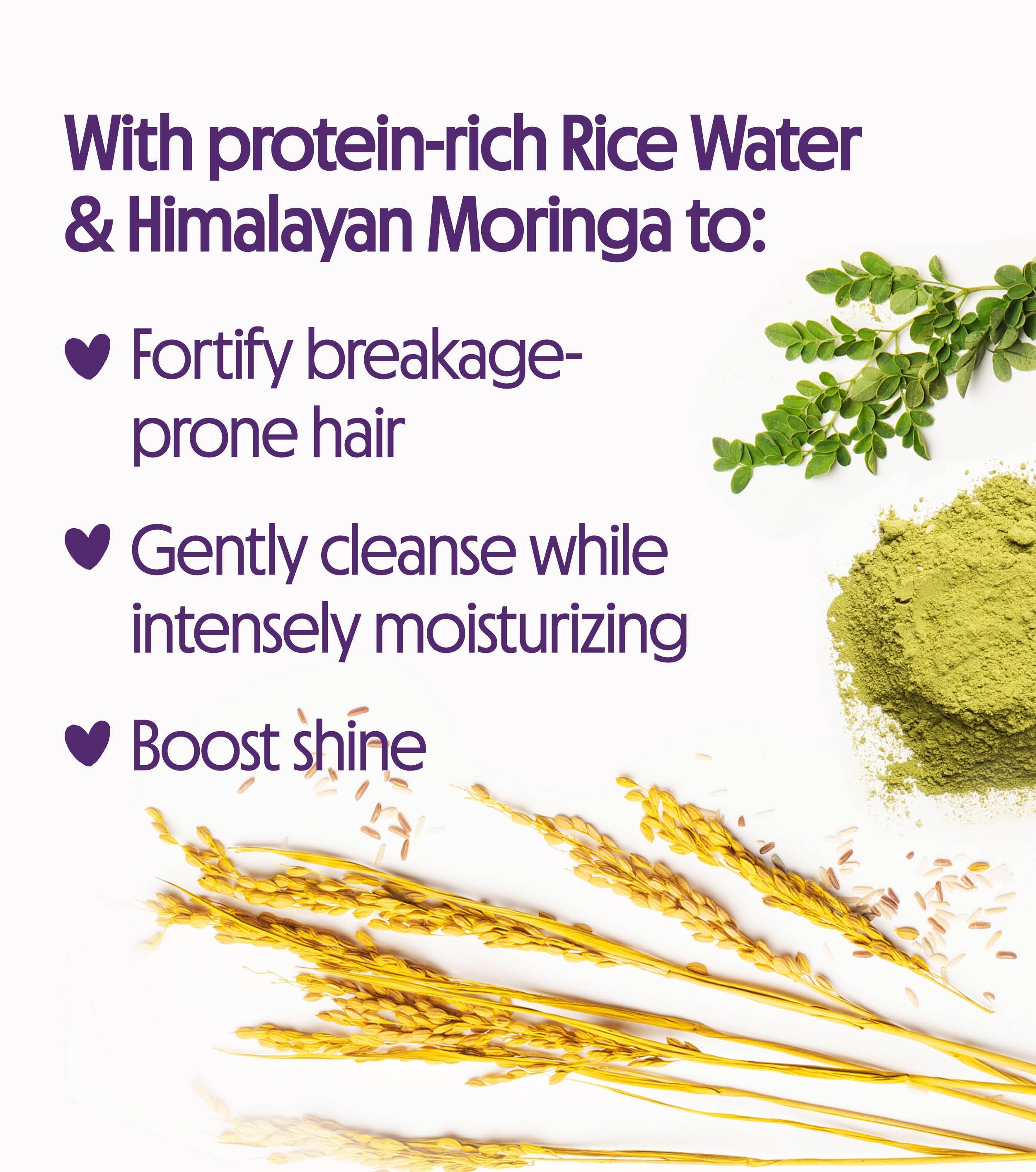 Superior Strength Shampoo